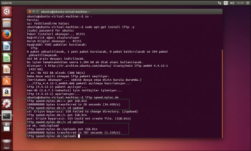 ubuntu-speed05930.jpg