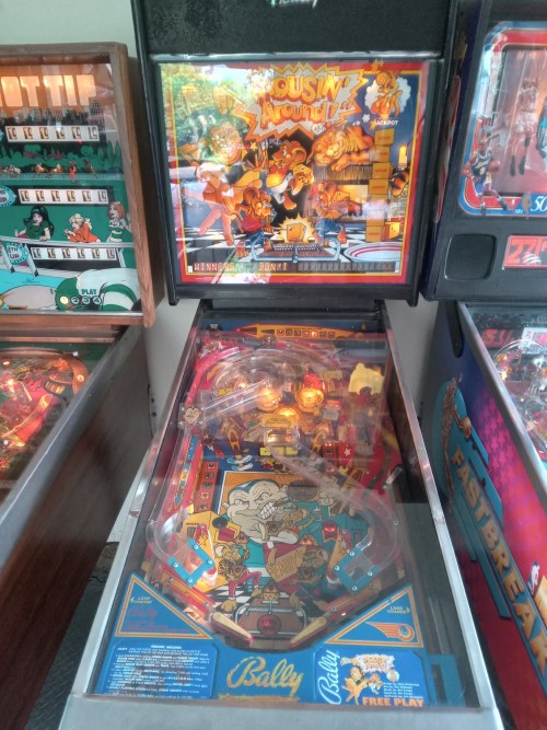 3oldschoolpinballmachines.RichardBlankCostaRicaCollection0c3c4.jpg