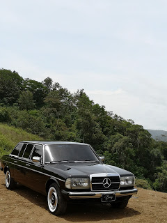 CARTAGOMOUNTAINFOREST.COSTARICA300DW123LIMOUSINE.jpg